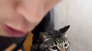 Cat Falling Asleep on Owner's Face! 11
