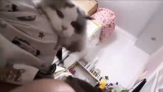 ASMR Cat Purring to Help You Sleep 💤 3
