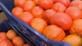 Shopping for fresh fruits at the traditional market