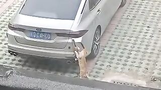 Cat Hiding under a Tiny Rug! 3