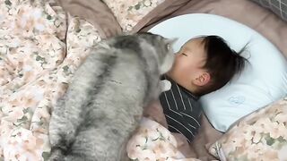 Cat Singing a Song! Hilarious Meow! 11