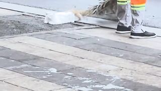 Cat Obsessed with a Cotton Swab! 9