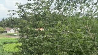 View from countryside
