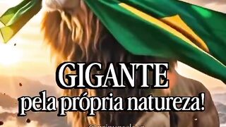 🇧🇷✨ O ANJO DA GUARDA DO BRASIL NUNCA NOS ABANDONO UEnquanto muitos dormem.mp4