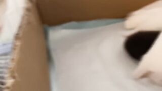 Cat Wakes up Owner at 4 AM! 12