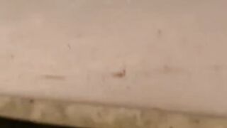 Cat Brings a Live Frog into the House! 10