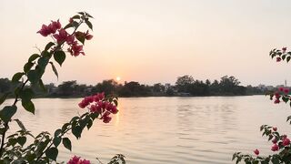 नदी के किनारे सुंदर सूर्यास्त दृश्य