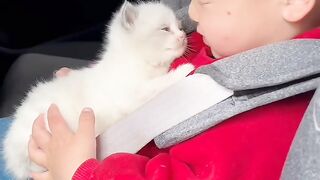 Cat Sleeping with its Tongue Out! 10