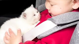 Cat Trying to Catch Drops of Water! 11