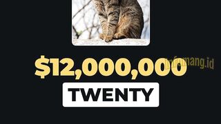 The $20 million cat.