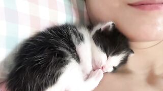 Cat Answering When Called! So Smart! 12