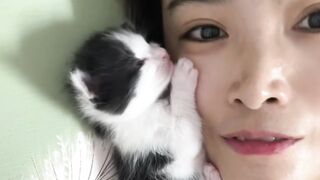 Extreme Cat Parkour in the Living Room! 12