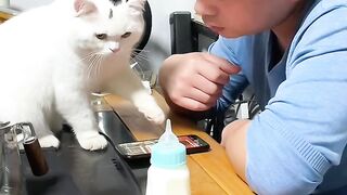 Cat Terrified of the Vacuum Cleaner! 12