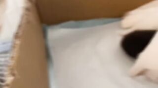 Cat Enjoying a Spa Day! 💆‍♂️ 10