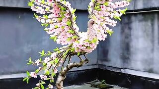 Beautiful flower🙏❤️❤️