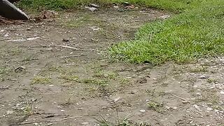 Suasana sore ini fren