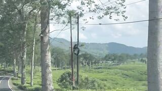 Trip to tea garden