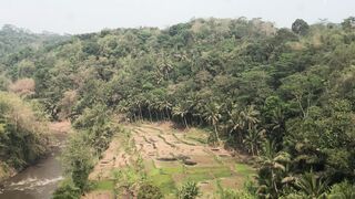 Scenic Train Ride from Bandung to Yogyakarta