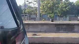 trains