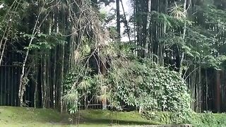 pretty park