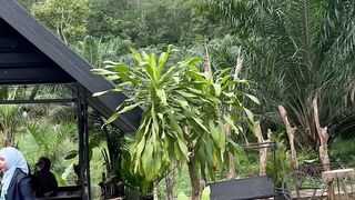 bukit botak (Bald hill)