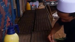 Seorang santri sedang Semai cabai kaliber