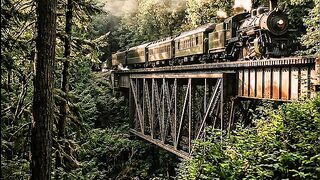 Train and snake