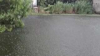 Rainy day natural beauty