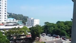 A view from my window