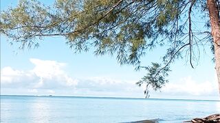 🌊 A Peaceful Day by the Sea | Relaxing Beach Views 🌴☀️