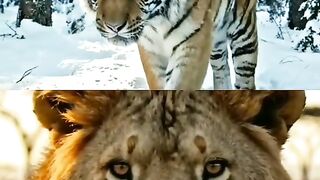 Hewan harimau
