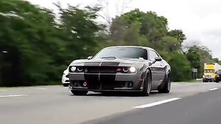Dodge Challenger Hellcat Rolling Deep on the Highway – Pure American Muscle! 🐺🏎️💨