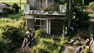 Home restoration timelapse