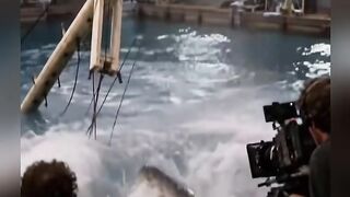 Shark movie scene