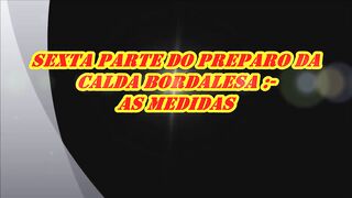 575 ) MEDIDAS DA CALDA BORDALESA