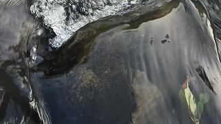 Morning Serenity by the River | A Peaceful Nature Escape