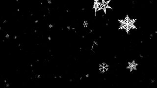 Falling Snowflakes Animation Loop on Black Background