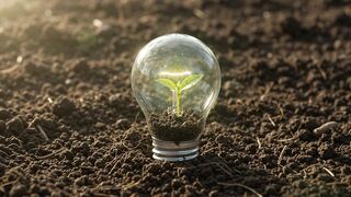Plant sprouting in lightbulb