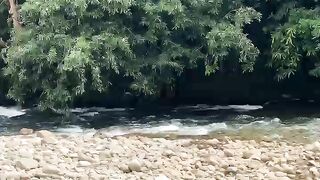 Peaceful River Sounds in Nature 🌿 | A Hidden Gem of Serenity