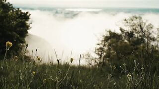 Landscape Nature Scenery Over Misty Valley Calm Cinematic View