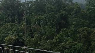 The Lembah Purba Suspension Bridge