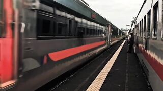 Train 25