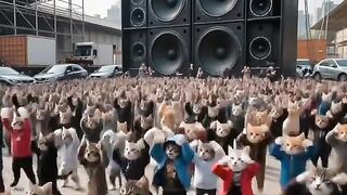 Kucing party