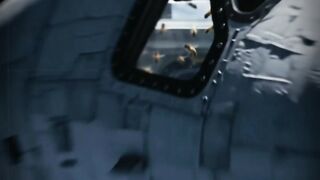 3000 Bees Defy Gravity In Space