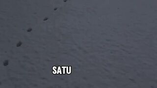 Jejak kaki kucing