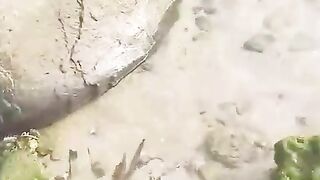 Você sabia disso?! Maravilhoso!🏊‍♀️🌊