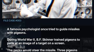 Project Pigeon: The Missile Guided by Pecking Pigeons