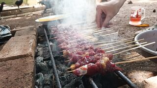 Indonesia satay, looks yummy !!