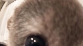 Pov you are missing in 1 minute