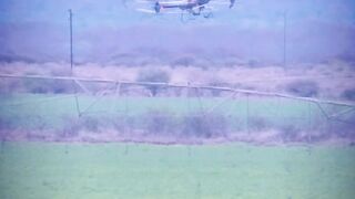 Drone doing field fumigation